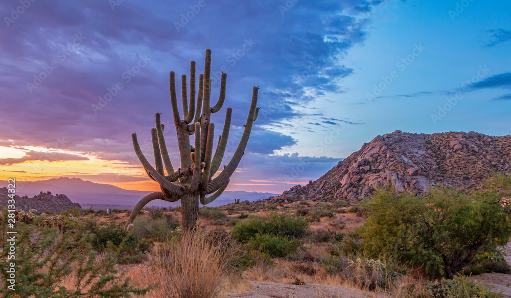 Lone Saguaro Cactus With Vibrant Desert Sunrise Sky