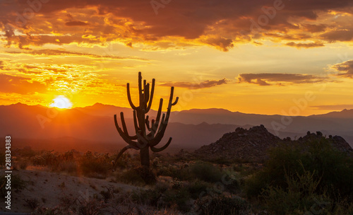 Lone Saguaro Cactus With Vibrant Desert Sunrise Sky