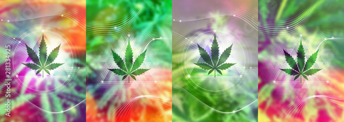 Vector set of four posters, cards or banners template; Spiritual sacred geometry with perfect cannabis leaf on bright blurred photographic background; Healing, cure and calm energy.