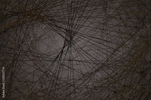 cobweb on a dark background, dark background
