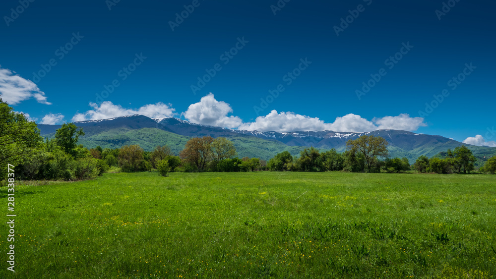 Green meadow in the foreground with bush and trees around, snowy peak mountain range in the bacground, clear blue sky with some clouds