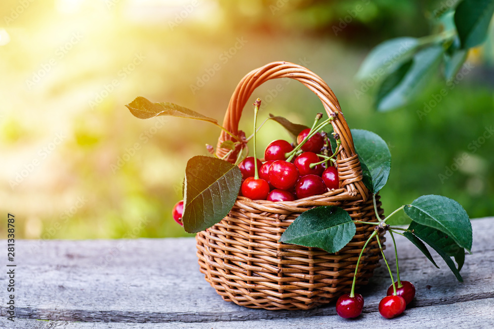 Wicker basket wooden table. A bunch of cherries dropped from the basket. Wicker basket wooden table. A bunch of cherries dropped from the basket.