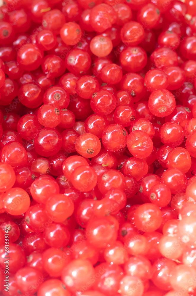 Berries red currants. Sour garden berries. Red bush berries. Berries red currants. Sour garden berries. Red bush berries.