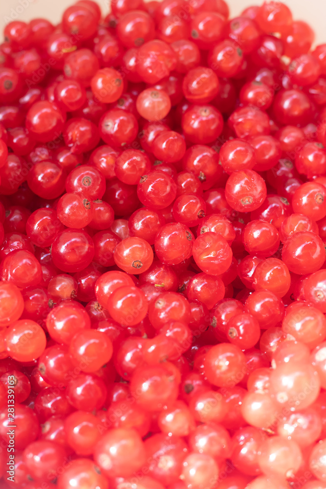 Berries red currants. Sour garden berries. Red bush berries. Berries red currants. Sour garden berries. Red bush berries.