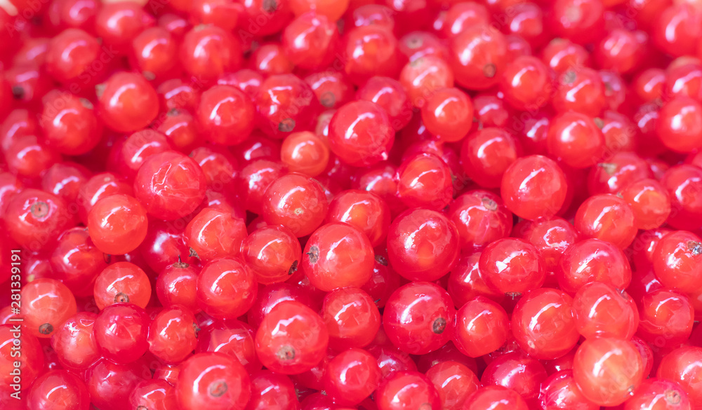 Berries red currants. Sour garden berries. Red bush berries. Berries red currants. Sour garden berries. Red bush berries.