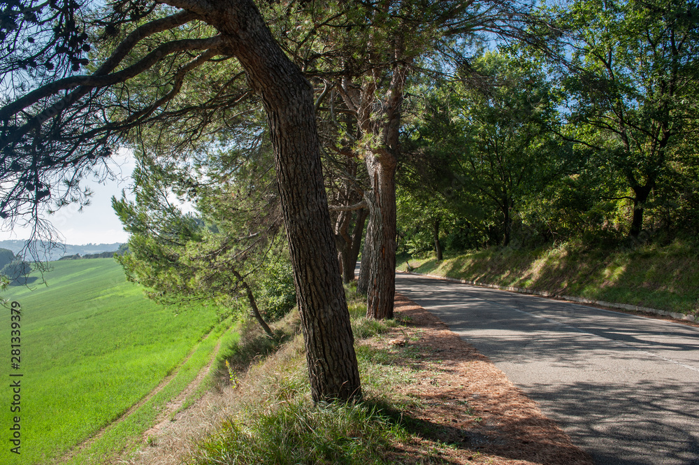 Panoramica Pesaro Misano Monte - the road above the Adriatic Sea in Italy Panoramica Pesaro Misano Monte - the road above the Adriatic Sea in Italy