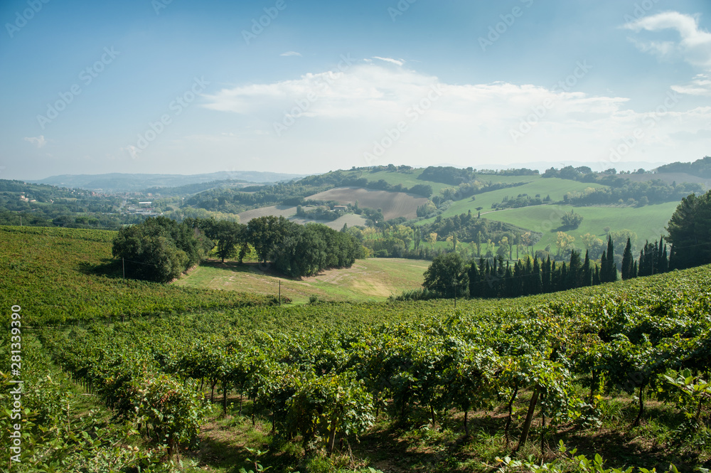 Typical panorama of Emilia-Romagna, Italy in summer