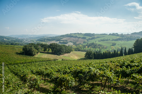 Typical panorama of Emilia-Romagna  Italy in summer