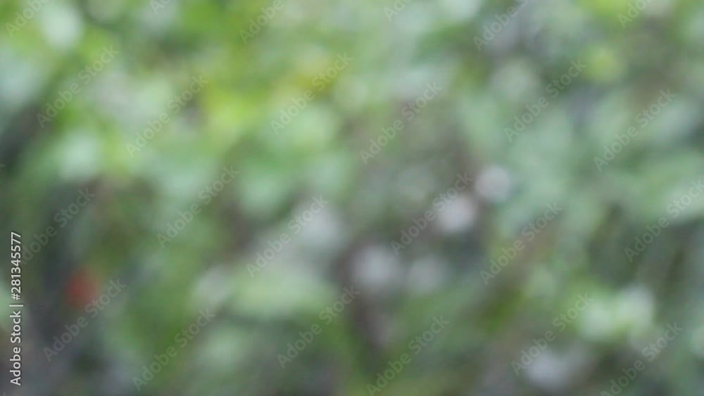 Blurred background surface and rain bokeh Blurred background surface and rain bokeh