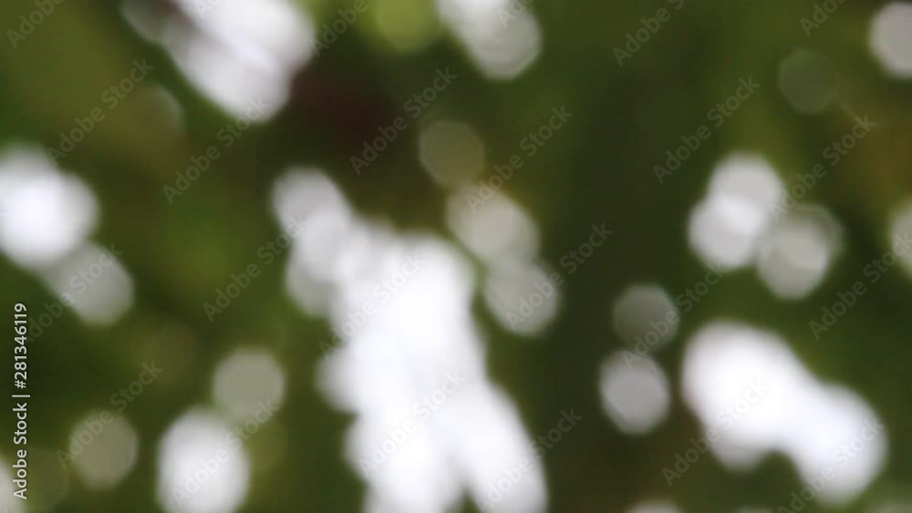 Blurred background textures and outdoor natural bokeh Blurred background textures and outdoor natural bokeh