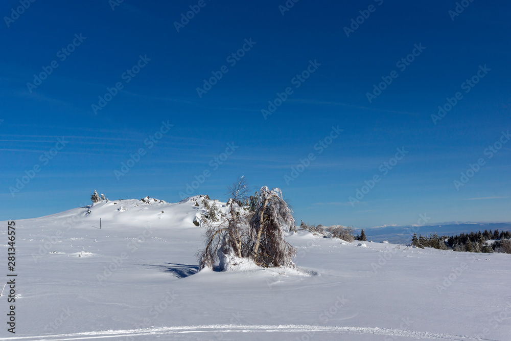 Winter landscape of Vitosha Mountain, Bulgaria Winter landscape of Vitosha Mountain, Bulgaria