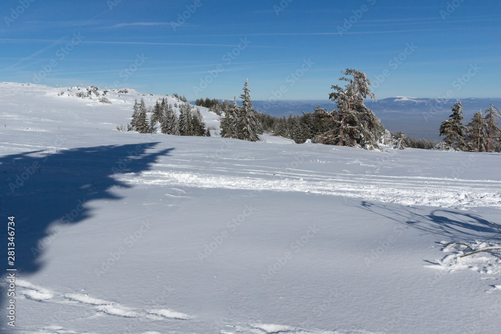 Winter landscape of Vitosha Mountain, Bulgaria