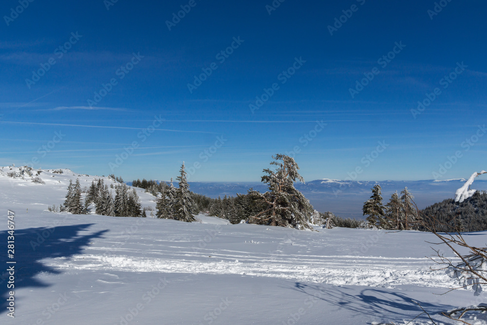Winter landscape of Vitosha Mountain, Bulgaria Winter landscape of Vitosha Mountain, Bulgaria