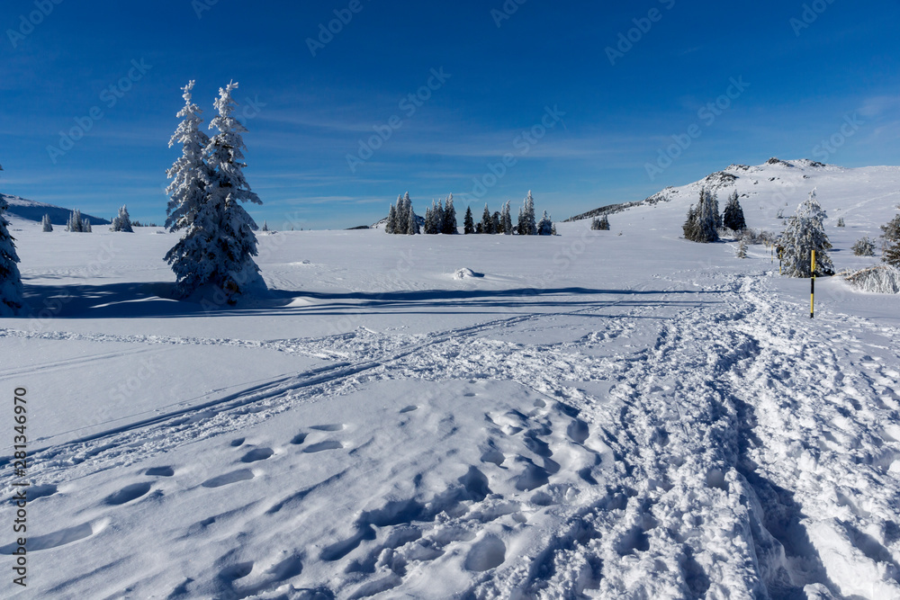 Winter landscape of Vitosha Mountain, Bulgaria Winter landscape of Vitosha Mountain, Bulgaria