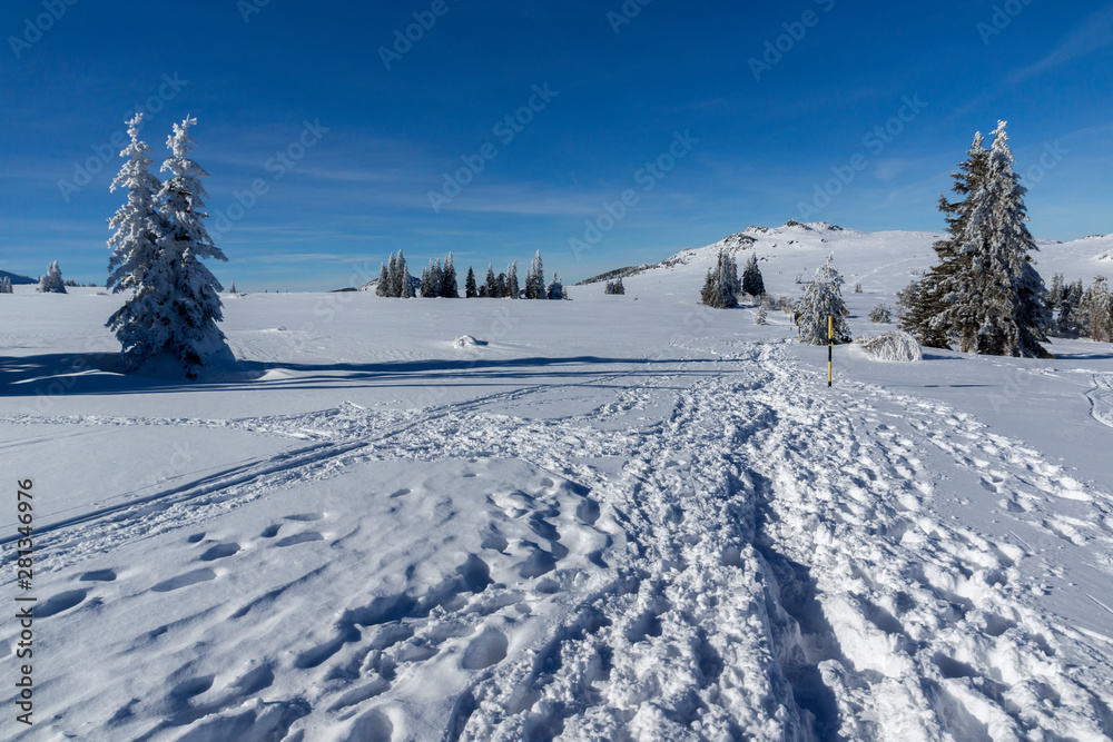 Winter landscape of Vitosha Mountain, Bulgaria