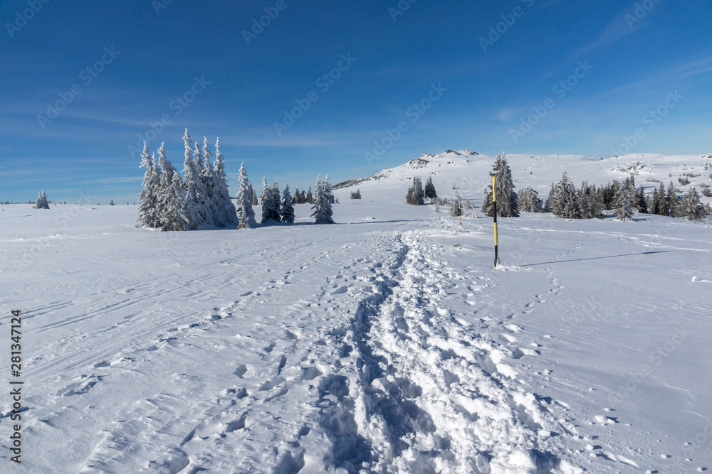 Winter landscape of Vitosha Mountain, Bulgaria Winter landscape of Vitosha Mountain, Bulgaria