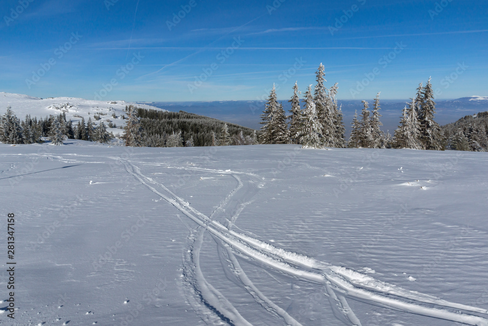 Obraz premium Winter landscape of Vitosha Mountain, Bulgaria