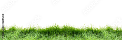 Banner of the grass field isolate on white background. Beautiful green grass on white background. Can use for add text and abstract background. Panoramic banner.