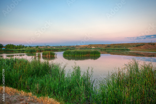 lake with green reed , evening scenery  © russieseo