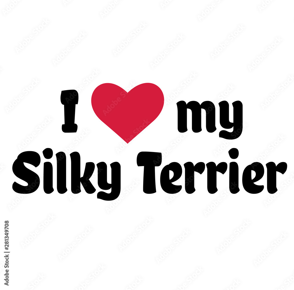 I love my silky terrier