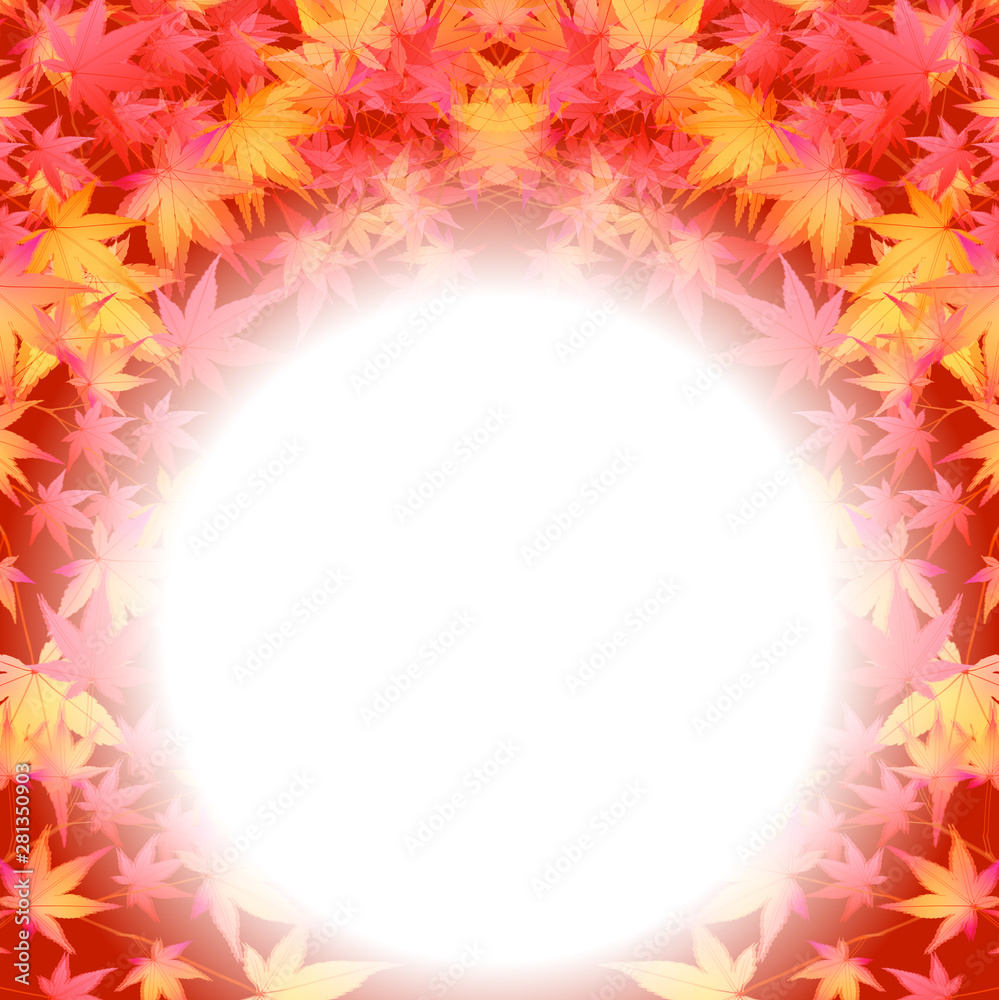 紅葉　もみじ　葉　背景 