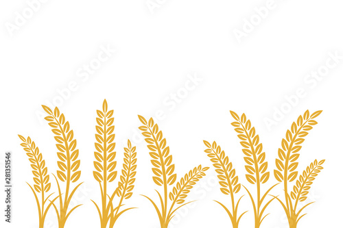 wheat field vector illustration. Growing Plant Agriculture wheat Grain Sign Symbol Icon vector isolated on white background. Agriculture wheat vector Illustration.