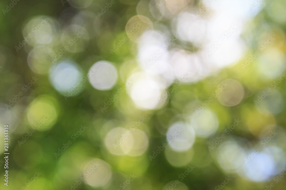 abstract green background with bokeh abstract green background with bokeh