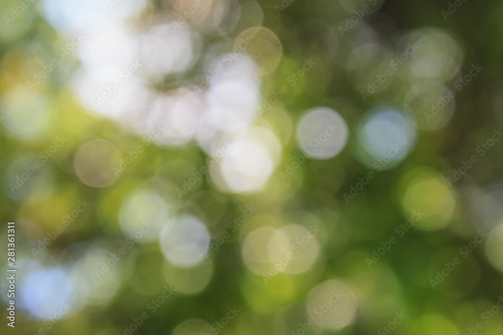 abstract green background with bokeh