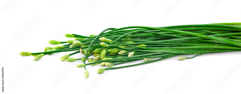 Chinese chives flower on white background Chinese chives flower on white background