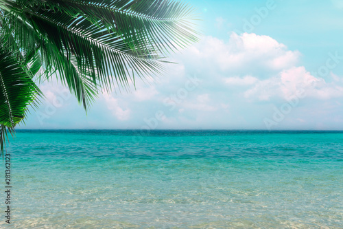 Fototapeta Naklejka Na Ścianę i Meble -  Photo of clear blue sea with sunny sky summer season with cloud and green coconut tree leaves in foreground background.