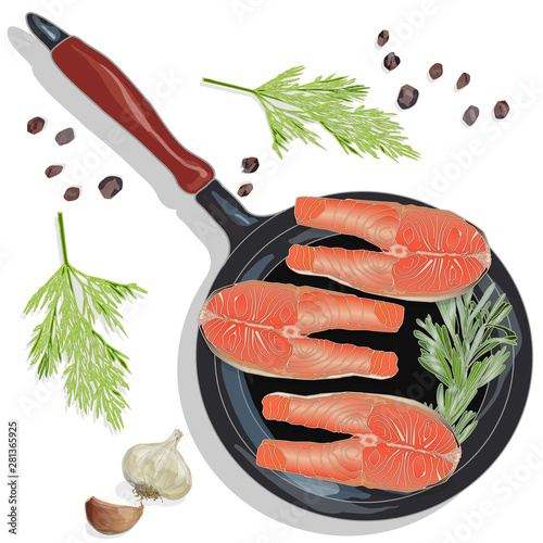 Raw salmon fillets on the pan with herbs. White background. Vector illustration, separated layers.