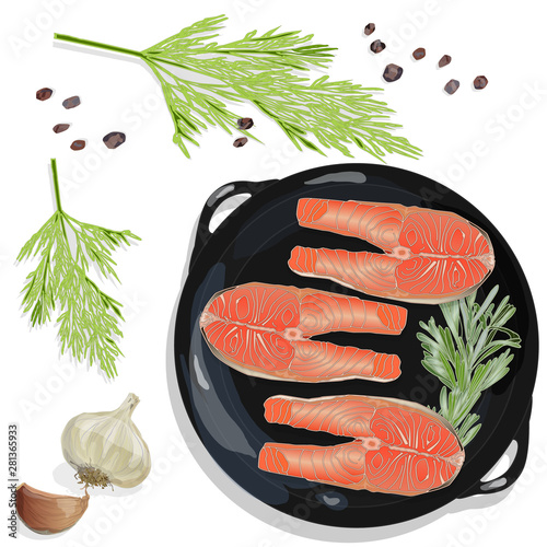 Raw salmon fillets on the pan with herbs. White background. Vector illustration, separated layers.