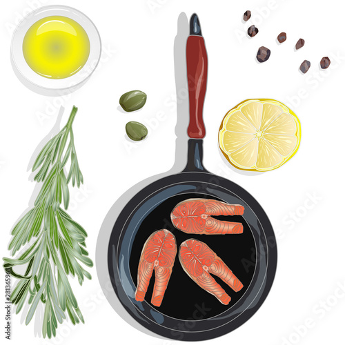 Raw salmon fillets on the pan with herbs. White background. Vector illustration, separated layers.