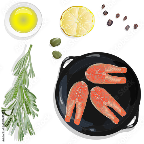 Raw salmon fillets on the pan with herbs. White background. Vector illustration, separated layers.