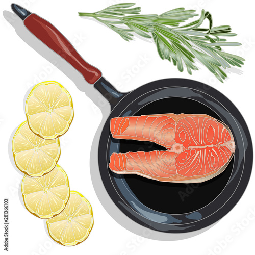 Raw salmon fillets on the pan with herbs. White background. Vector illustration, separated layers.