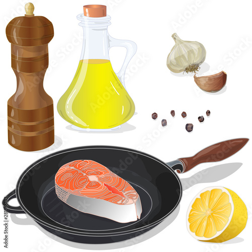 Raw salmon fillets on the pan with herbs. White background. Vector illustration, separated layers.