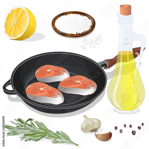 Raw salmon fillets on the pan with herbs. White background. Vector illustration, separated layers.