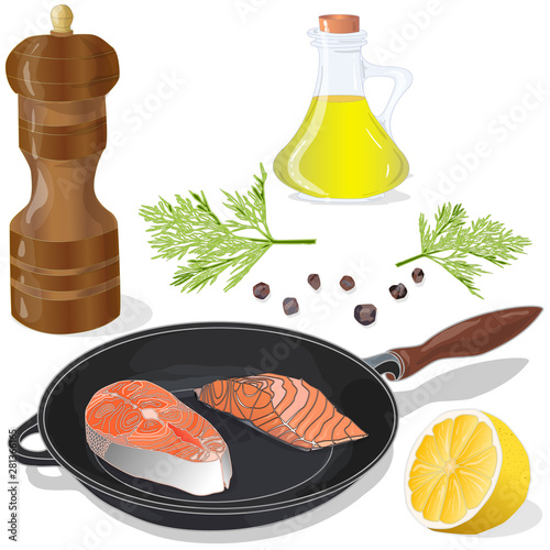 Raw salmon fillets on the pan with herbs. White background. Vector illustration, separated layers.