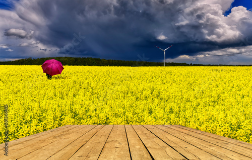 Approaching thunderstorm to rapeseed field, concept of weather forecast .Boar...