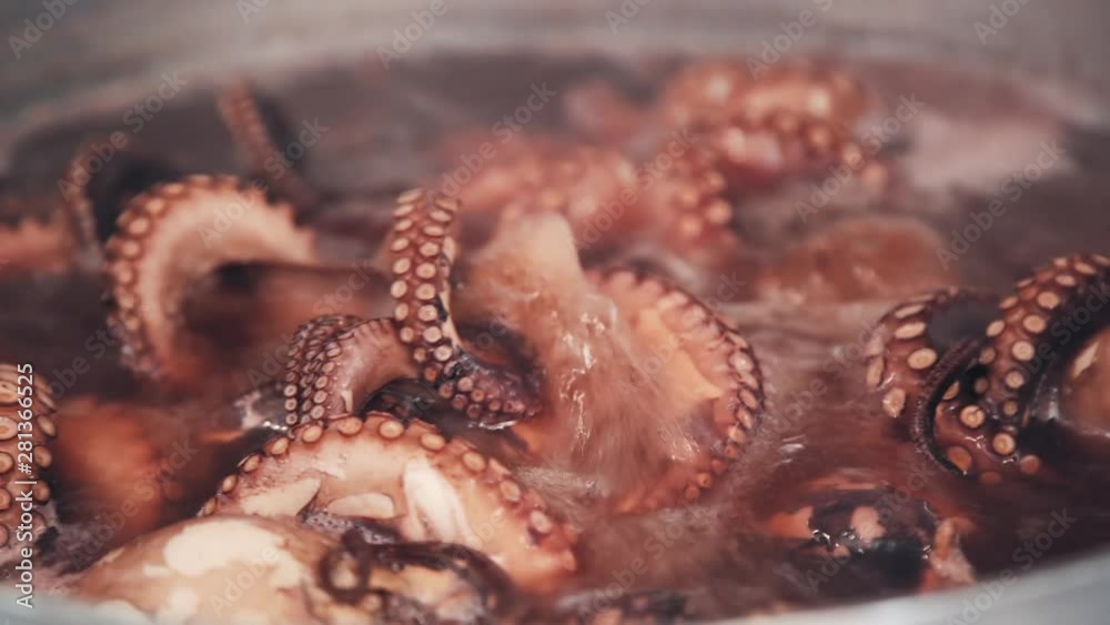 The octopus is cooking in a pot. The water is boiling in a pot of seafood. The octopus is getting ready. Octopus is being cooked. Food video close up The octopus is cooking in a pot. The water is boiling in a pot of seafood. The octopus is getting ready. Octopus is being cooked. Food video close up