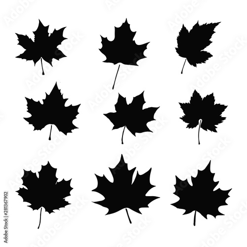 set of maple leaves