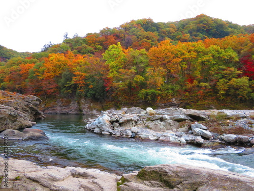 長瀞（石畳）の紅葉