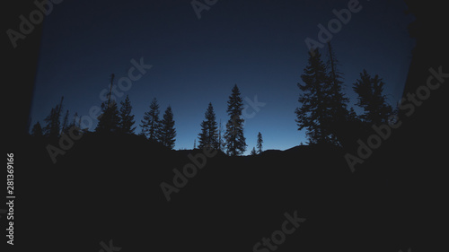 Bild auf Leinwand sunrise in fores
