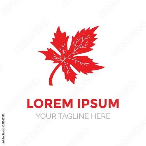 Design Autumn Logo Templates. vector