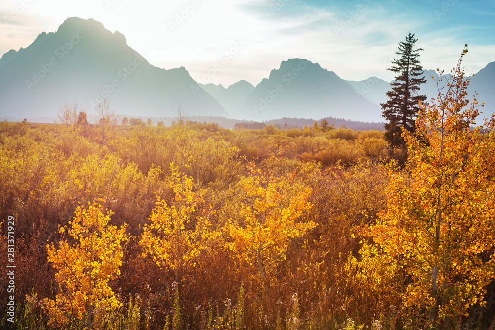 Autumn in Grand Teton