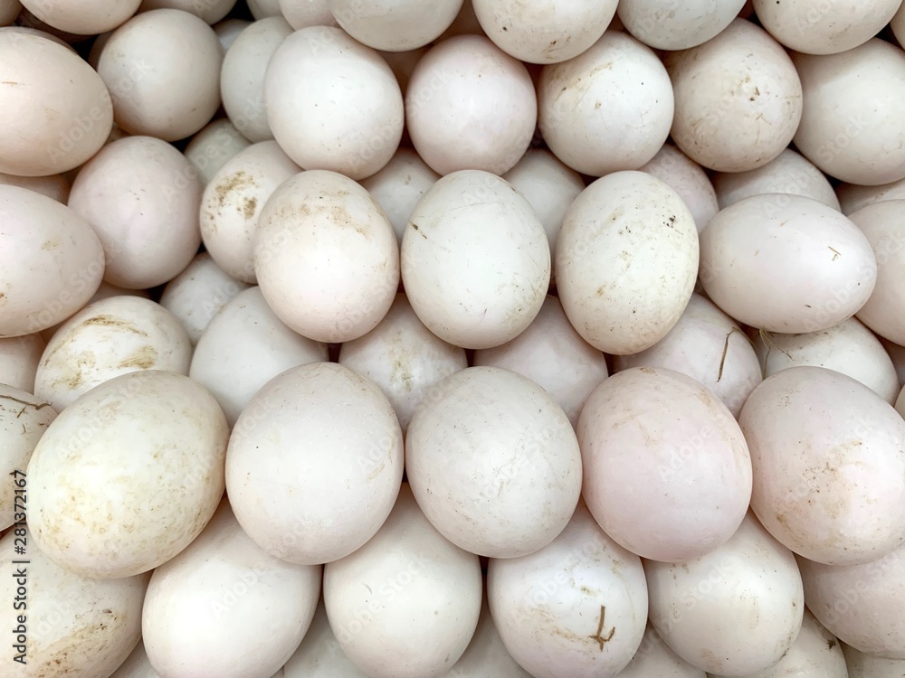 Closed up image of many fresh duck eggs laying together, organic white eggs Closed up image of many fresh duck eggs laying together, organic white eggs