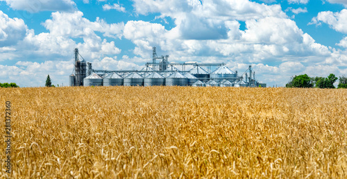 Field and elevator panorama