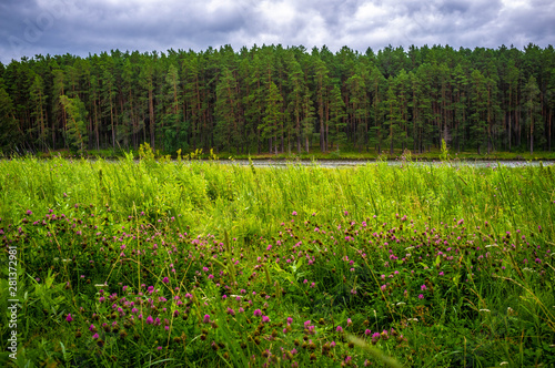  Field