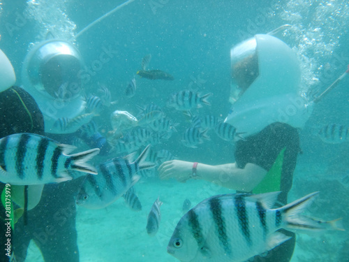 Two People Walking underwater on seabed among school of fish