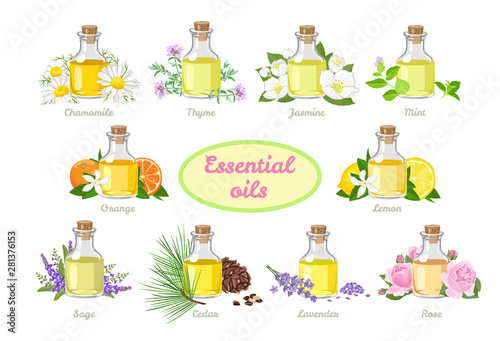Set of essential oils in glass bottles isolated on white background. Vector illustration of aromatic plants and flowers in cartoon simple flat style.